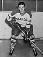 Eastern Hockey League - Charlotte Checkers Uniform